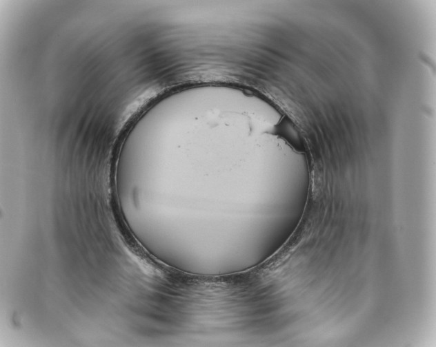X0000095890438200802011110