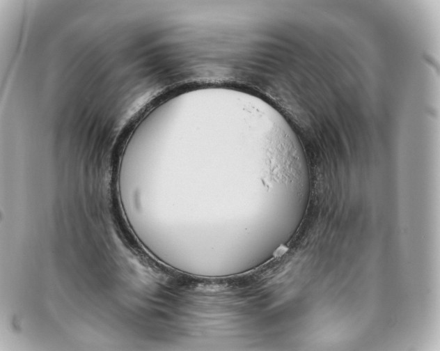 X0000095890440200802011110