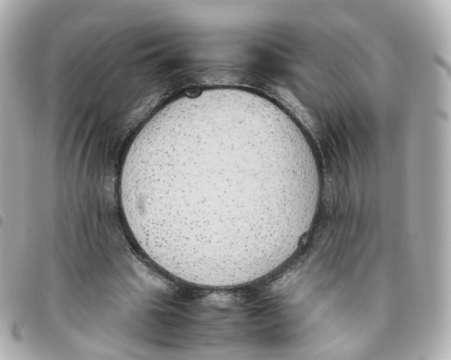 X0000095890441200802011110