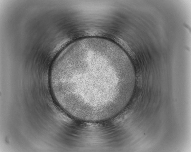 X0000095890442200802011110