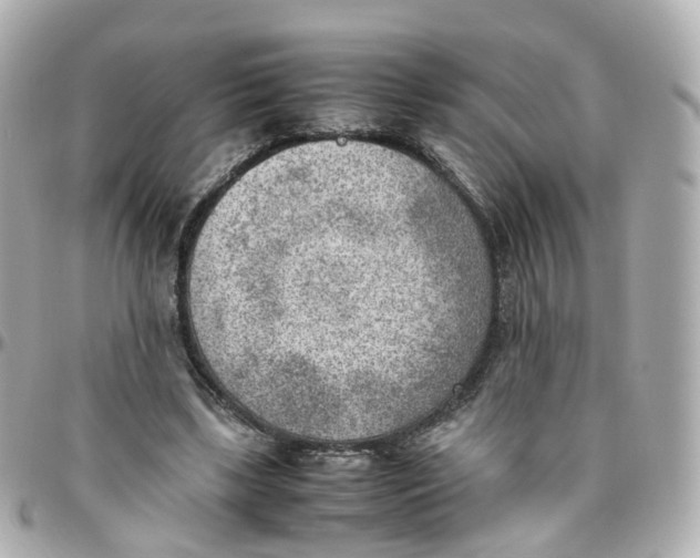 X0000095890443200802011110