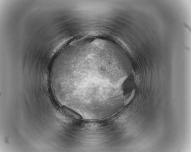 X0000095890444200802011110