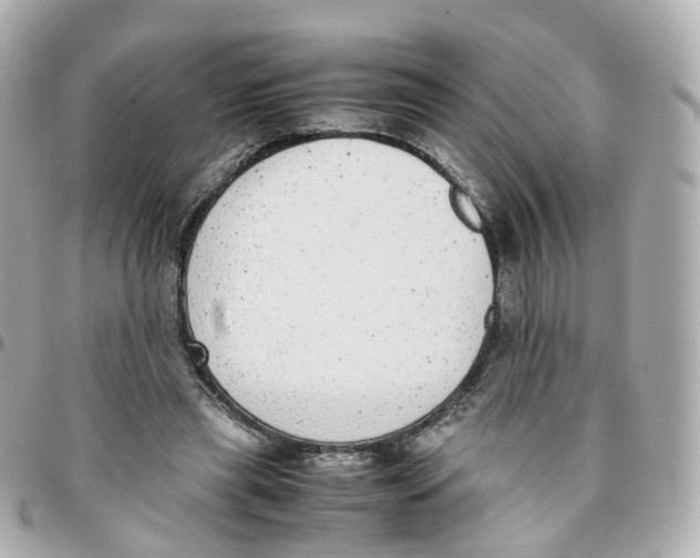 X0000095890445200802011110
