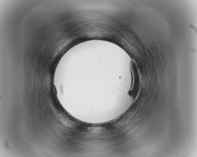 X0000095890448200802011110