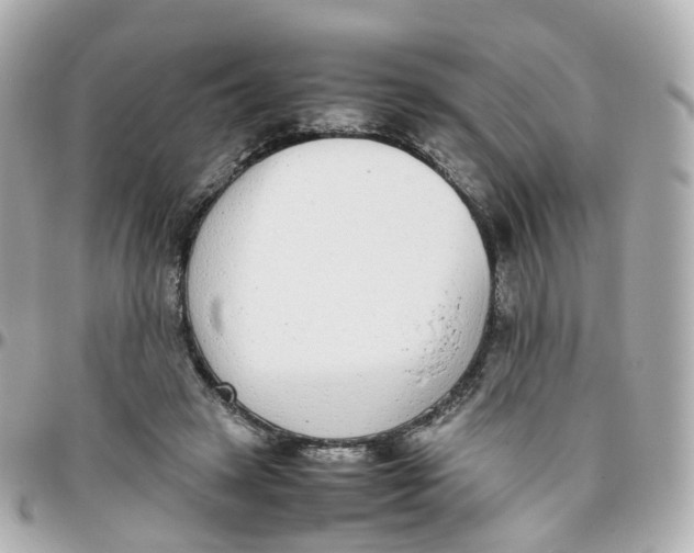 X0000095890449200802011110