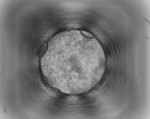 X0000095890451200802011110
