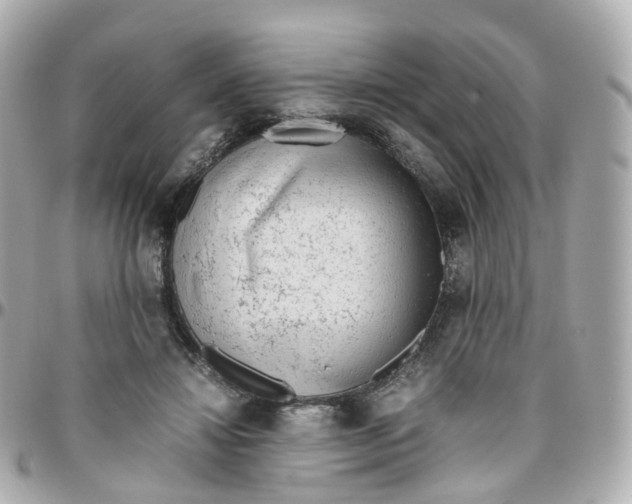 X0000095890452200802011110