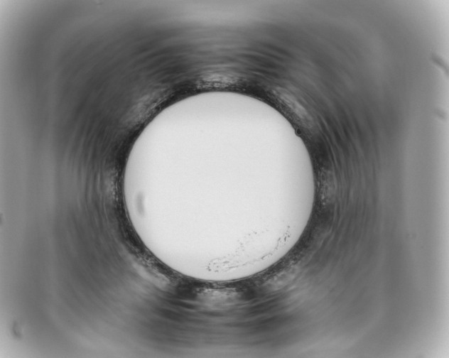 X0000095890455200802011110