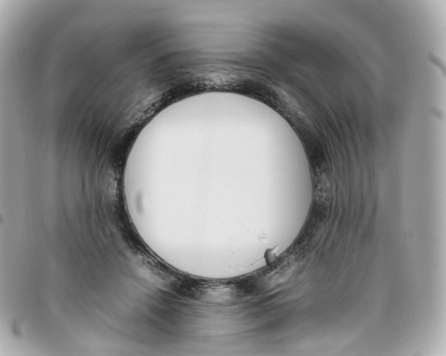 X0000095890456200802011110