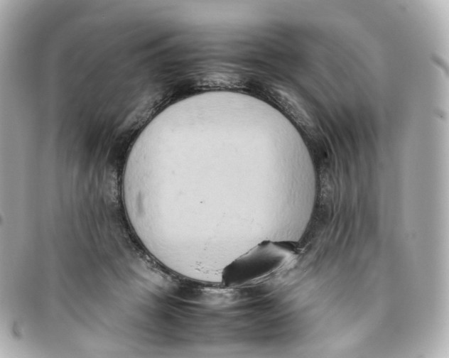 X0000095890457200802011110
