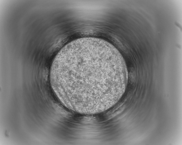 X0000095890458200802011110