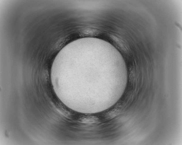 X0000095890459200802011110