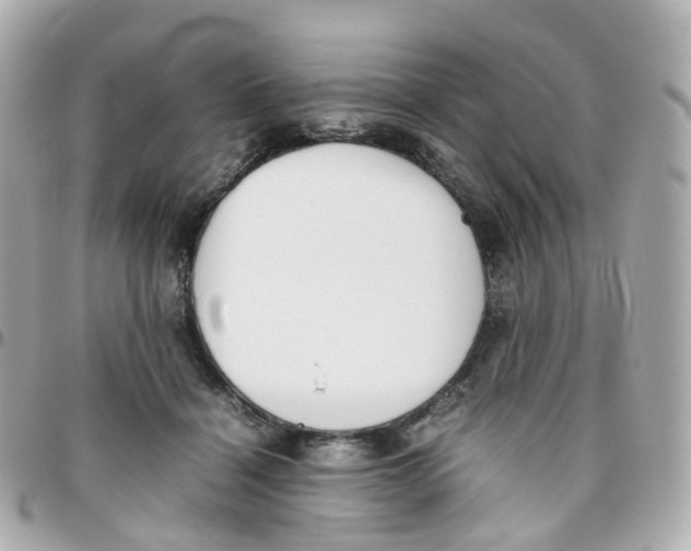 X0000095890460200802011110