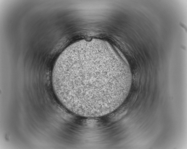 X0000095890462200802011110