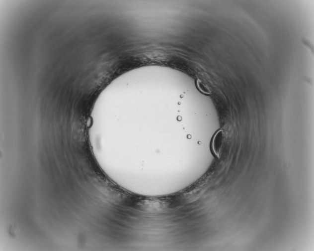 X0000095890464200802011110