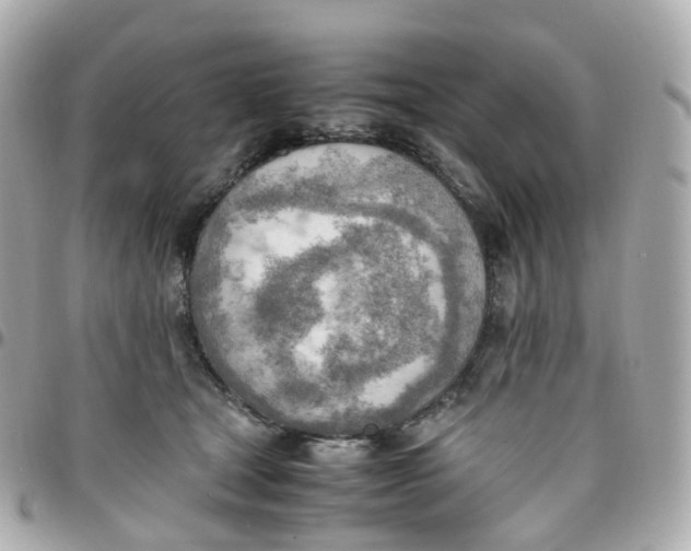 X0000095890465200802011110
