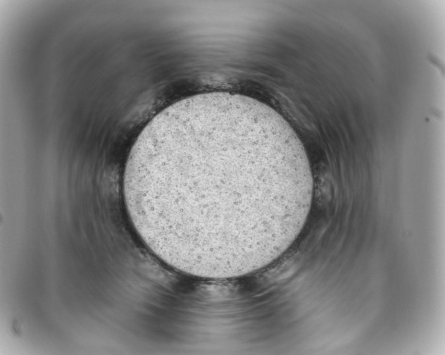 X0000095890466200802011110