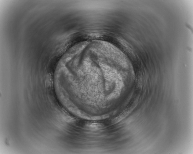X0000095890467200802011110