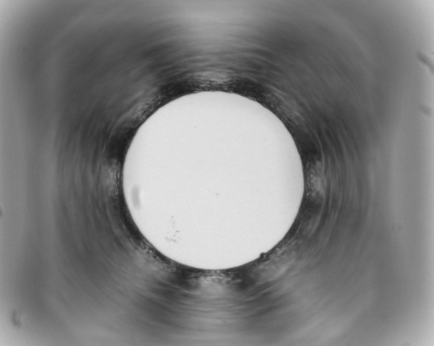 X0000095890468200802011110