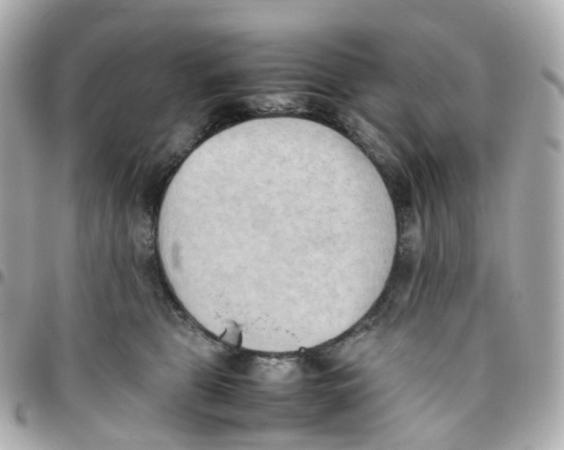 X0000095890469200802011110