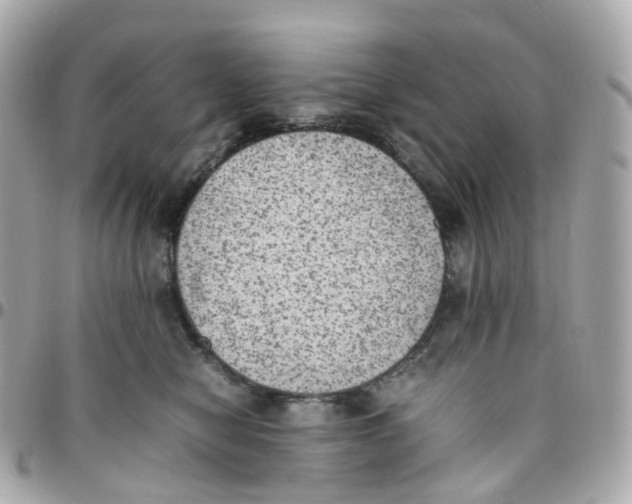 X0000095890470200802011110