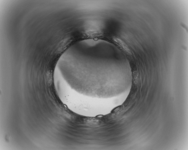 X0000095890471200802011110