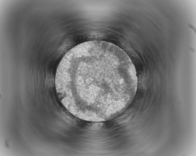 X0000095890474200802011110