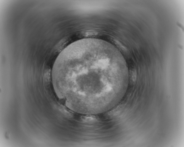 X0000095890475200802011110