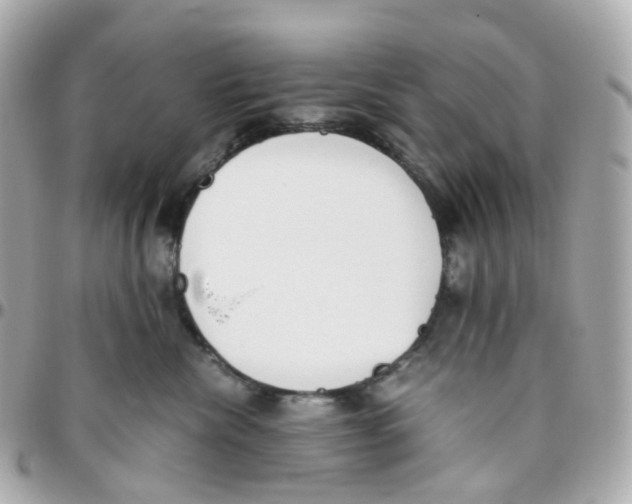 X0000095890476200802011110