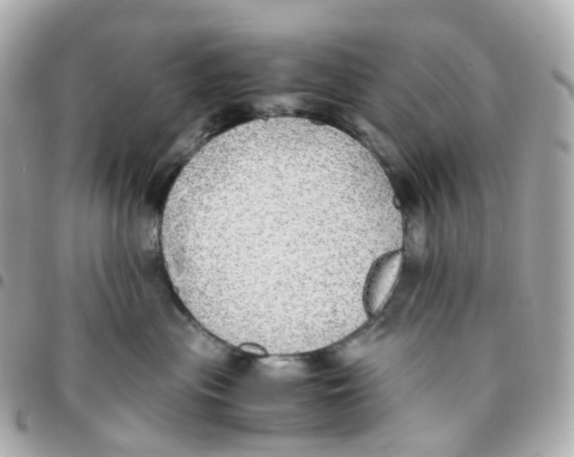 X0000095890477200802011110
