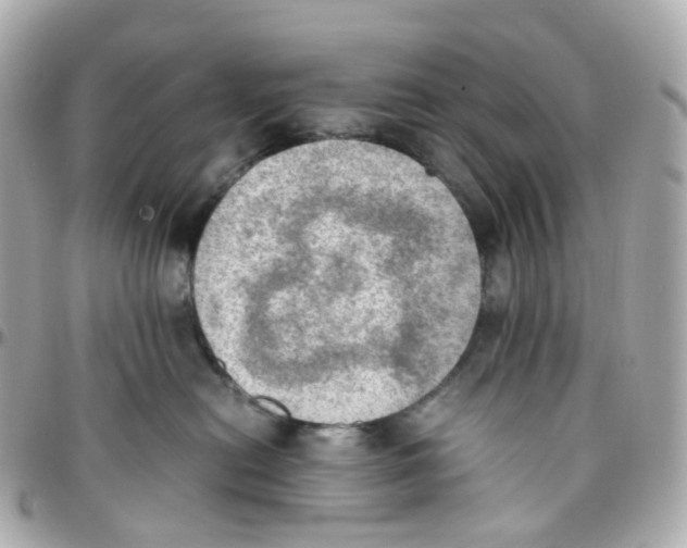X0000095890478200802011110