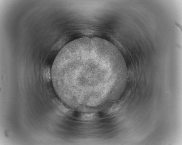 X0000095890479200802011110