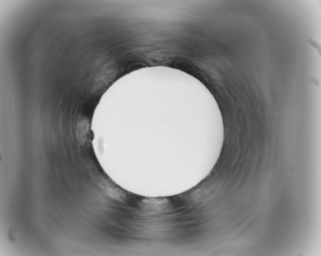X0000095890480200802011110