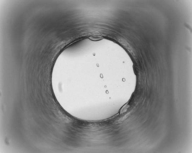 X0000095890481200802011110