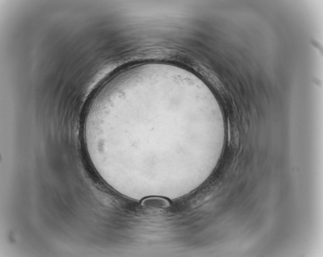 X0000095890483200802011110