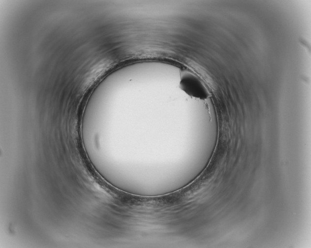 X0000095890485200802011110