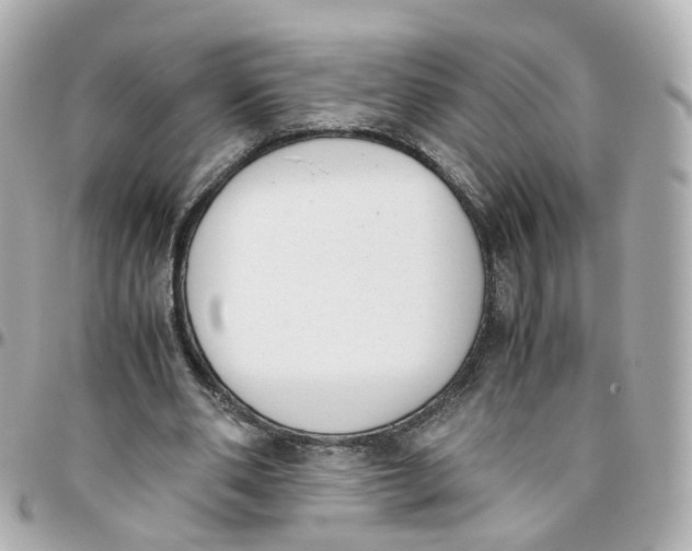 X0000095890486200802011110