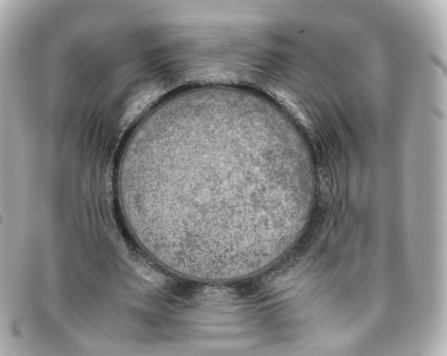 X0000095890487200802011110