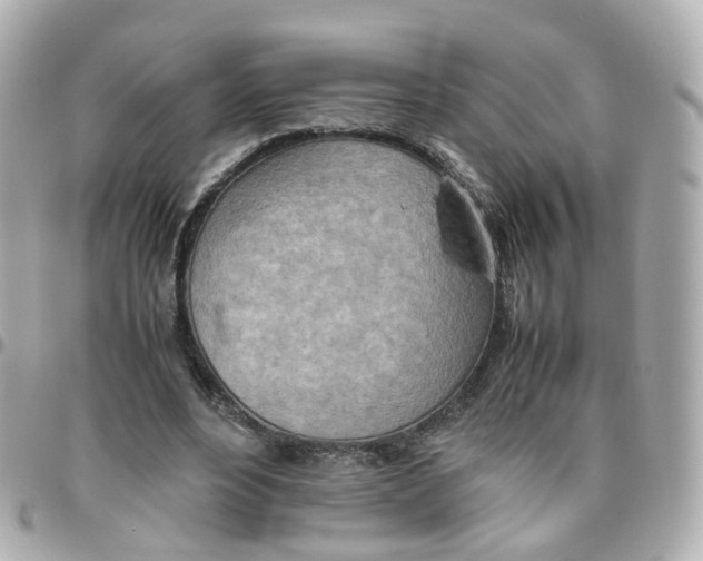X0000095890488200802011110