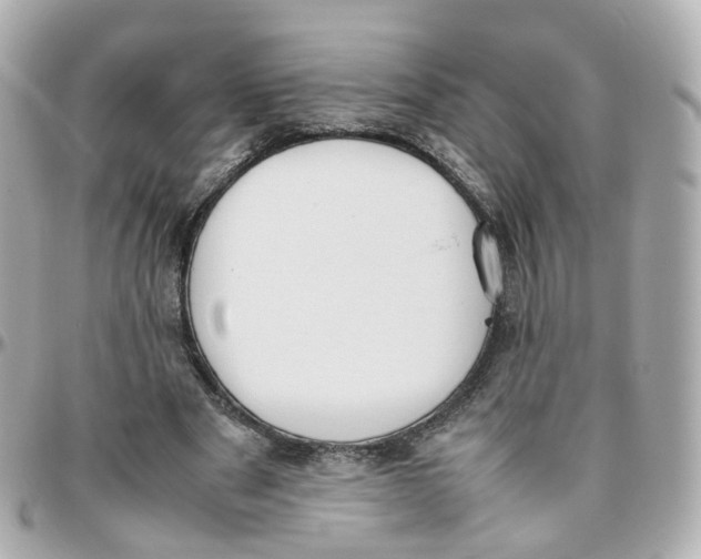 X0000095890489200802011110