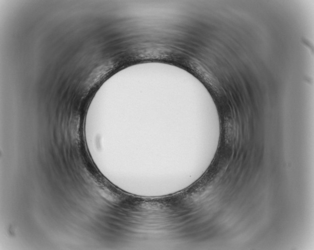 X0000095890490200802011110