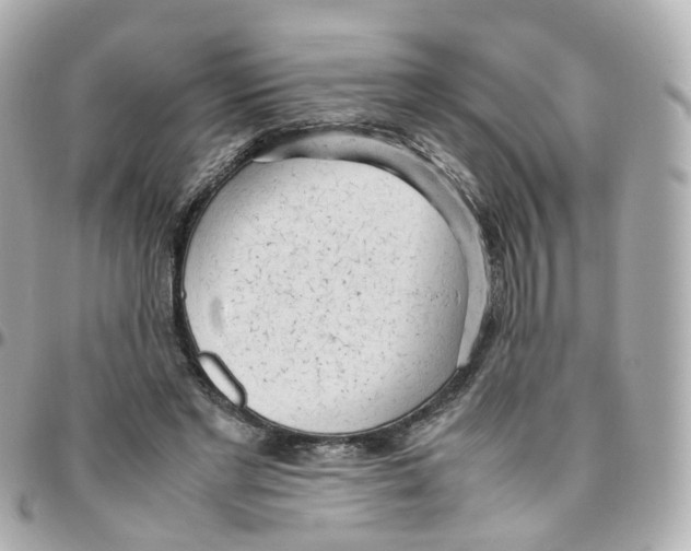 X0000095890493200802011110