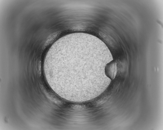 X0000095890494200802011110