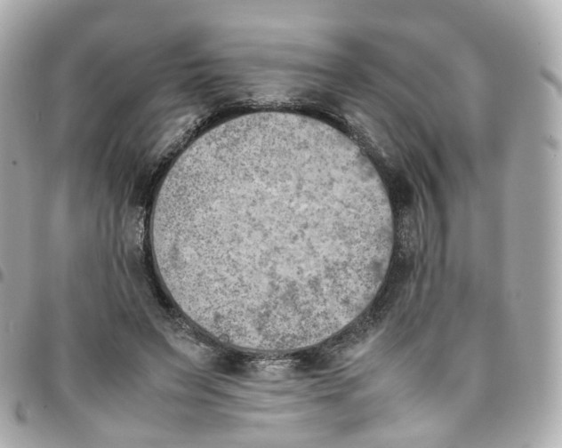 X0000095890495200802011110