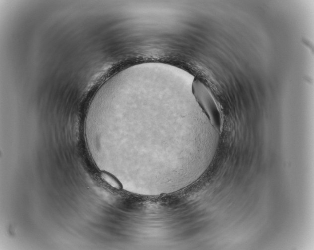 X0000095890496200802011109