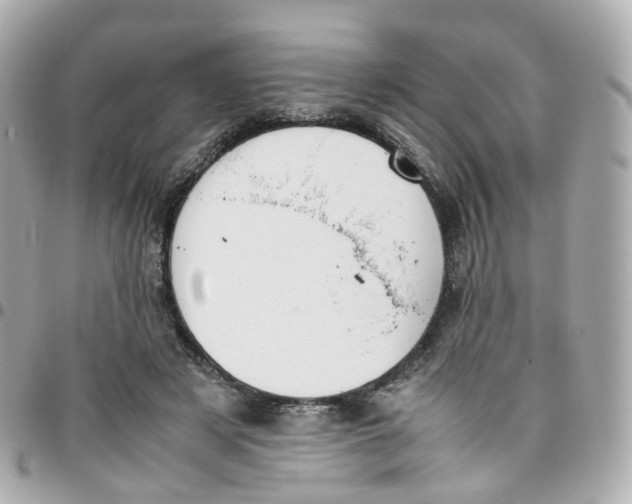 X0000095890497200802011109