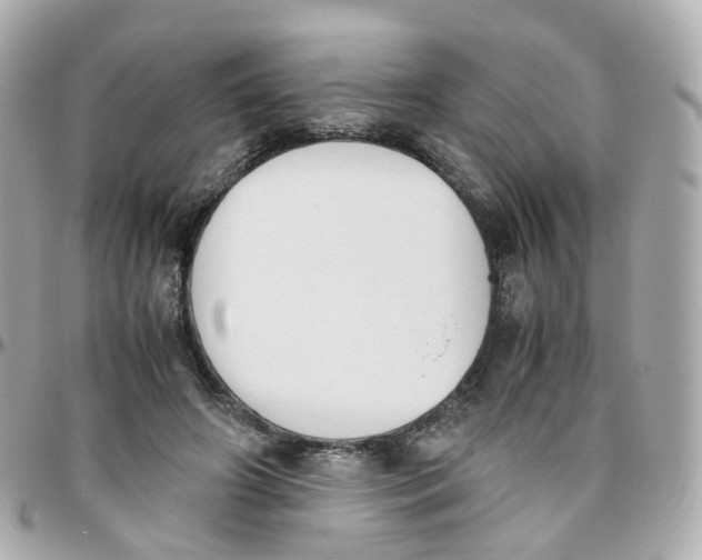 X0000095890498200802011109