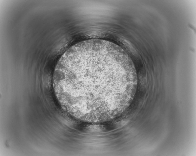 X0000095890499200802011109