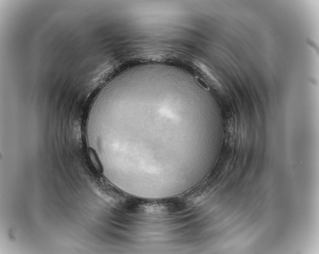 X0000095890500200802011109