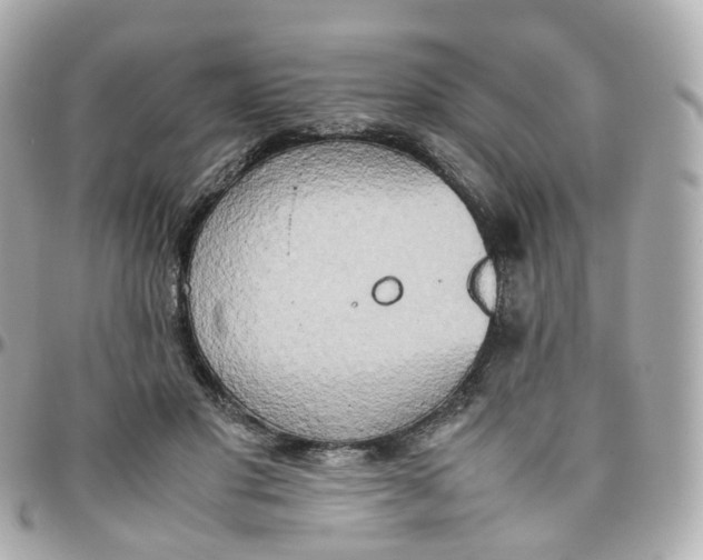 X0000095890501200802011109